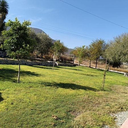 Cabanas Los Olivos Ixmiquilpan Kültér fotó
