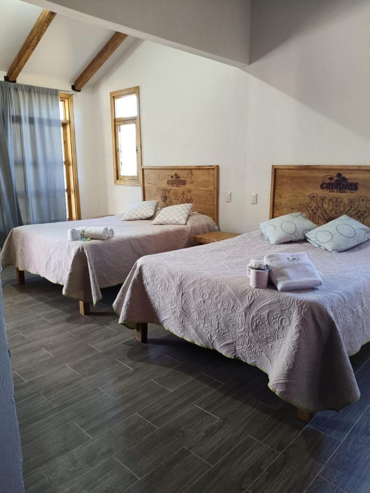 Cabanas Los Olivos Ixmiquilpan Kültér fotó