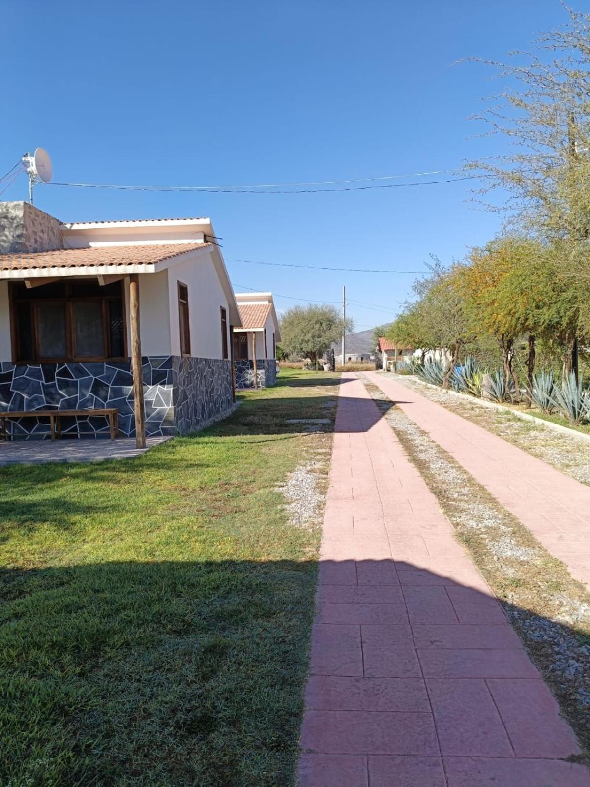 Cabanas Los Olivos Ixmiquilpan Kültér fotó