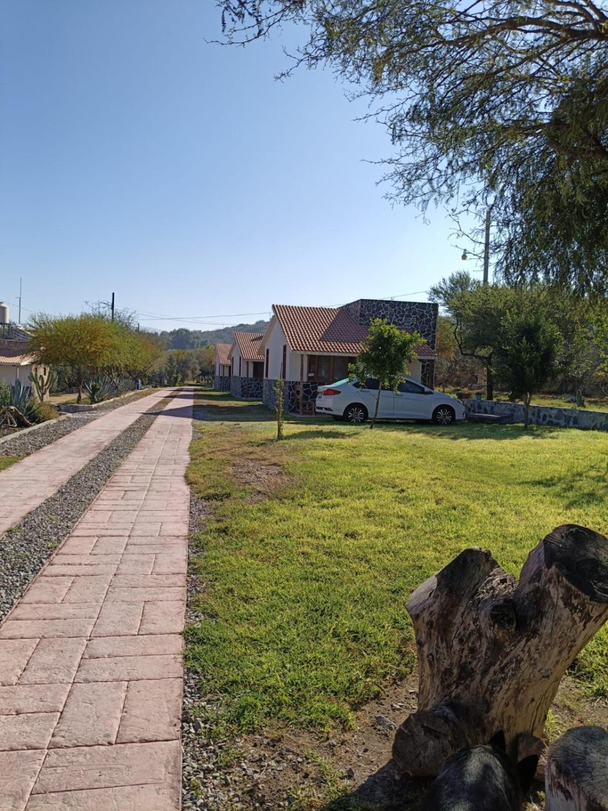 Cabanas Los Olivos Ixmiquilpan Kültér fotó