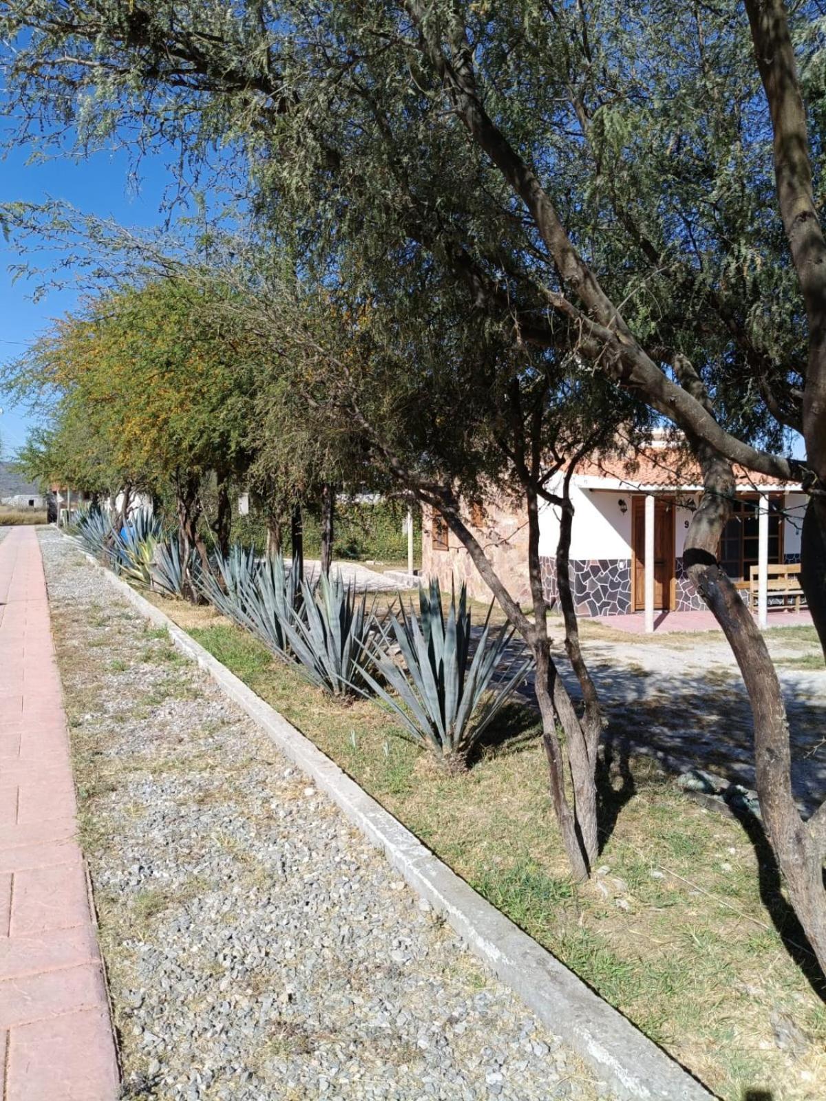 Cabanas Los Olivos Ixmiquilpan Kültér fotó